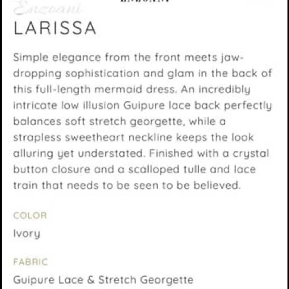 Enzoani Larissa Wedding Dress- worn once - Picture 15 of 16